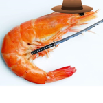 Du fighting shrimp
