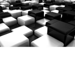 The Black and white club