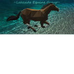 ~Lakeside Equine Group~