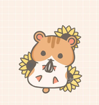 Cute hamsters:3