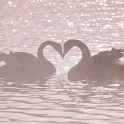 ˚ʚ♡ɞ˚