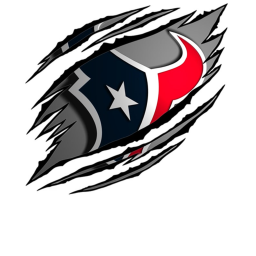 Texans stadium