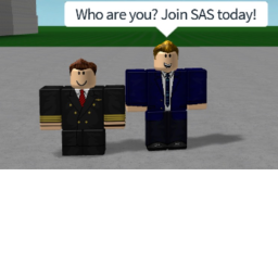 SAS  Airlines Interview Center.