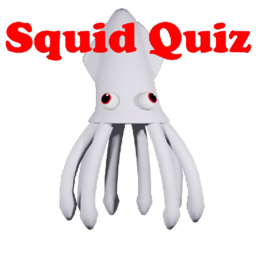 Squid Quiz(Update)