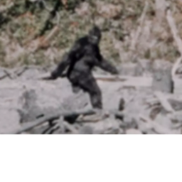 Five Night At BigFoot 1 (work in progress)