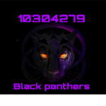 .Black Panthers.