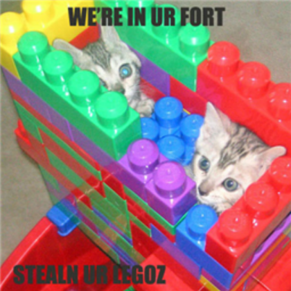 funny cat pic 2 Roblox decal