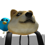 Doge group YYEEEAAAHH