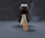 Bloxburg Democracy