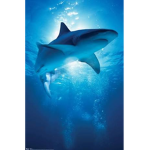 GlossyShark_Squad