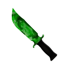 Ecto