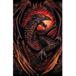 The Flying Dragon Group