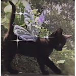 VAMPIE$ Group Thumbnail