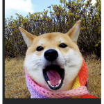 Group Thumbnail