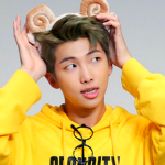 ARMY (WE LOVE BTS)