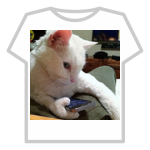 iteliget cat