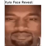 Secret army idk why