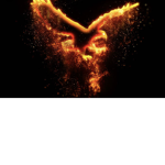 Night Swift Raiders