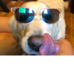 Dogo_Clan