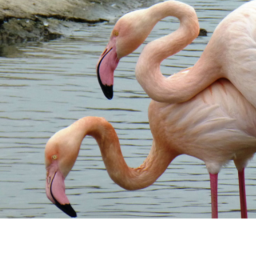 The Flamingo Play Place