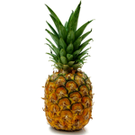 The Pinapple Squad