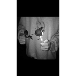 Patolinos Gangs ;D