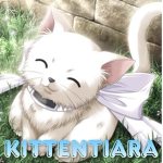 kittentiara