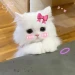 ZMM icon