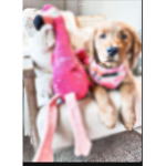 Maddie’s Fashion apparel!