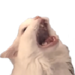 RobuxKenny