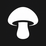 2D Shroom Games