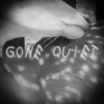 gone quiet