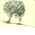 Lemon’s Tree Forest