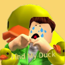 Find My Duck! icon