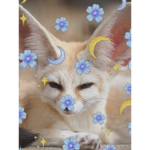 Fennec fox hangout