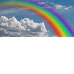 Rainbow cow squad. Follow your dreams