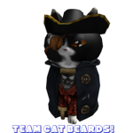 Team Cat-Beards