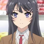 The Anime Watchers Official