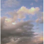 Dia bonito