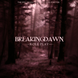 BreakingDawn City