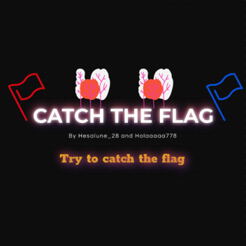 Catch the flag