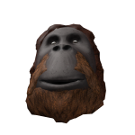 BIG OMG MONKEY™
