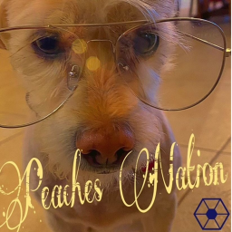 [Border Game] Peaches Nation