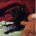 Sparky.$tinkyyy