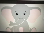 Baby elephant’s