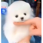 Heheehlolyisfun_7