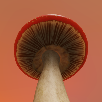 mushroom garden