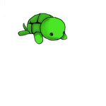 Turtle Enforcement