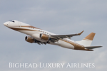 BIG HEAD AIRLINES