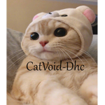 Catvoid’s-Dhc